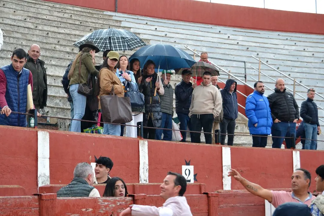 NOVILLADA FERIA DE LOS SABORES 2024 (137)