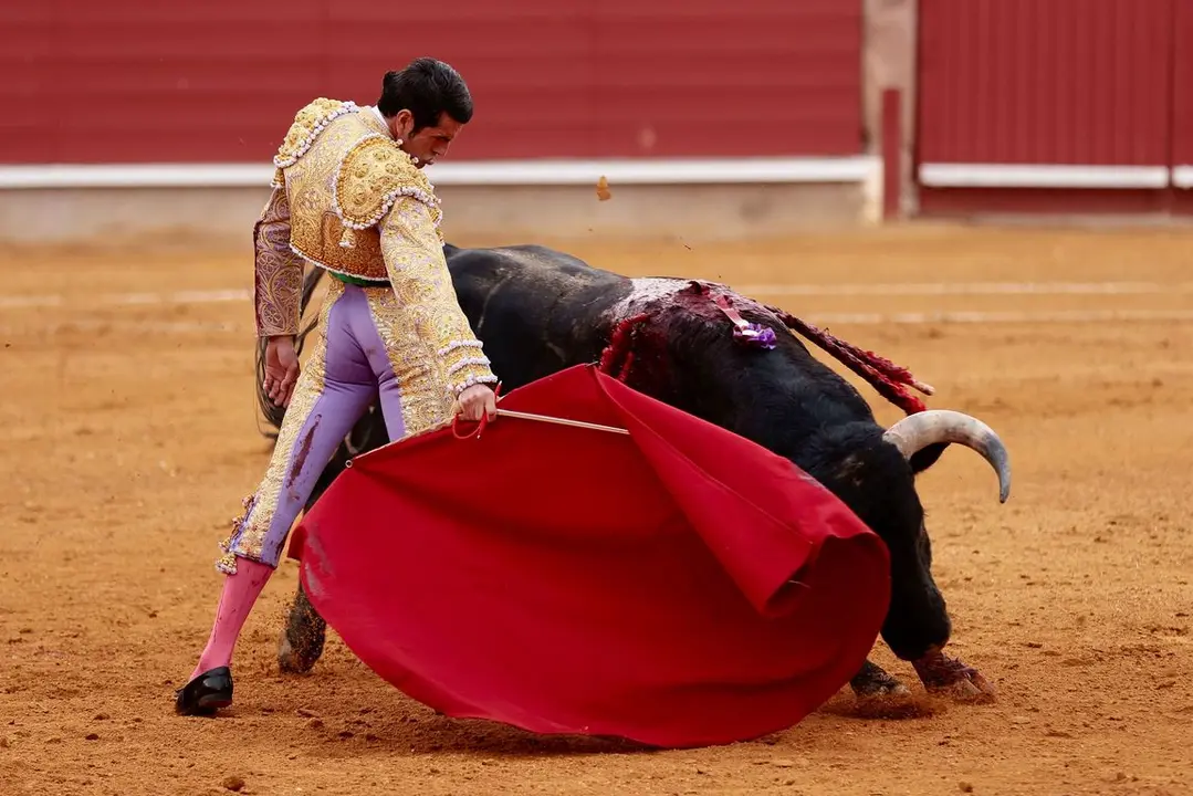 IMG-20240428-WA0032_resized_20240429_092646704