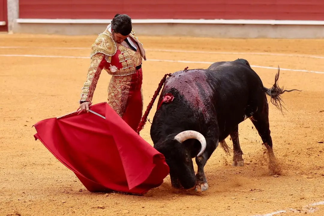 IMG-20240428-WA0056_resized_20240429_092626695