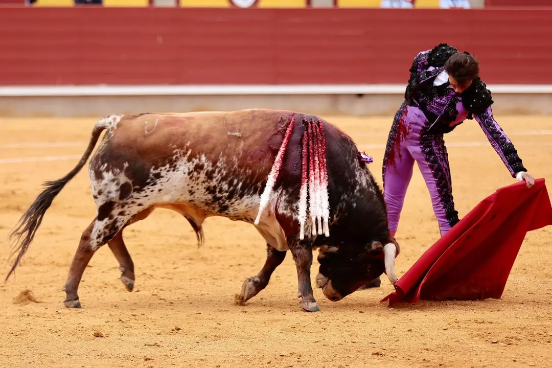 IMG-20240428-WA0062_resized_20240429_092554366