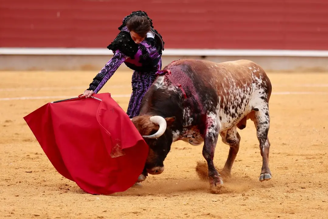 IMG-20240428-WA0064_resized_20240429_092607940