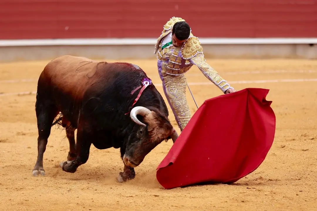 IMG-20240428-WA0074_resized_20240429_092556943