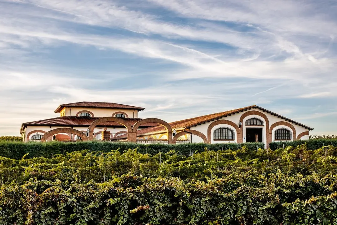 La bodega Fari&ntilde;a copia