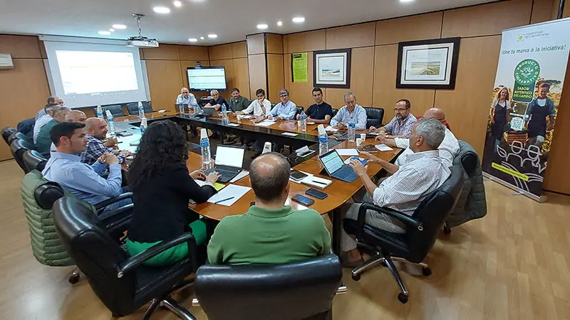 Sectorial Cereales CAE