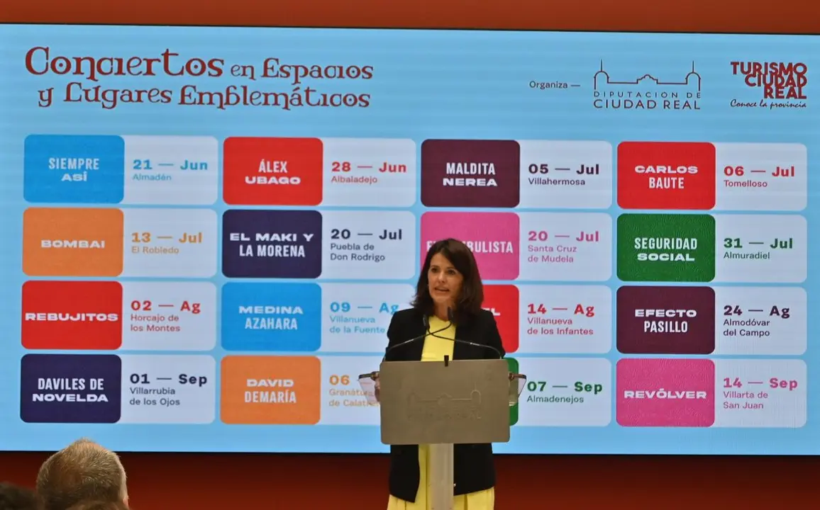 vicepresidente pelayo