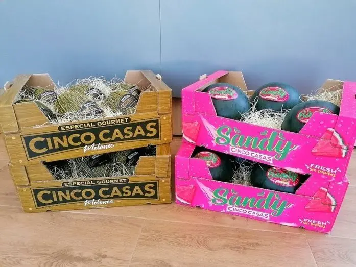 2963_nueva-imagen-cinco-casas