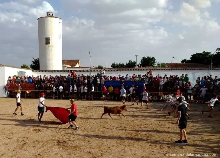 1036_img_20220810_201510