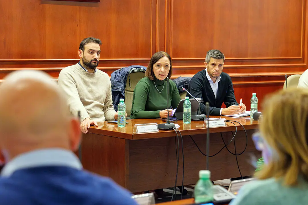 20241118_Pleno Ordinario 003_Comsermancha