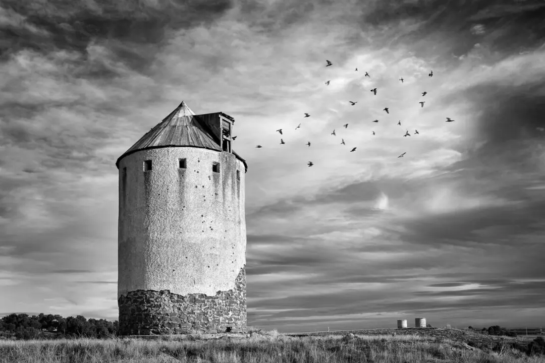 Ganadora 7_41_geometr&iacute;a b&aacute;sica de Angel Atanasio