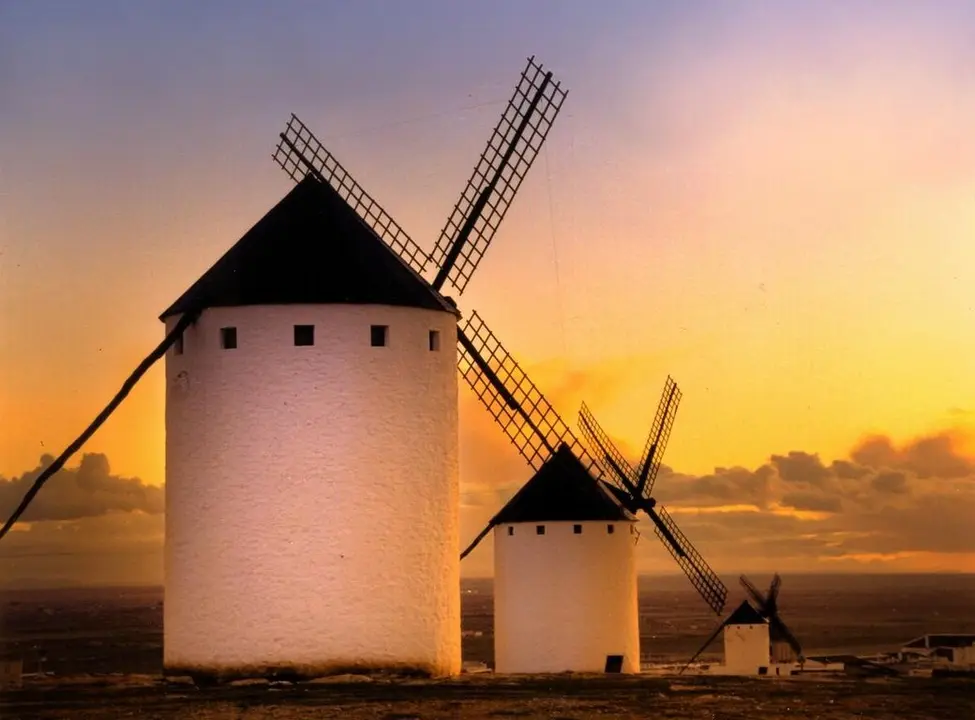 WhatsApp Image 2025-01-30 at 5.02.25 PM