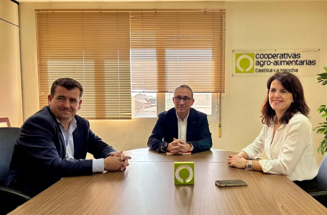 pelayo, chamorro y del real