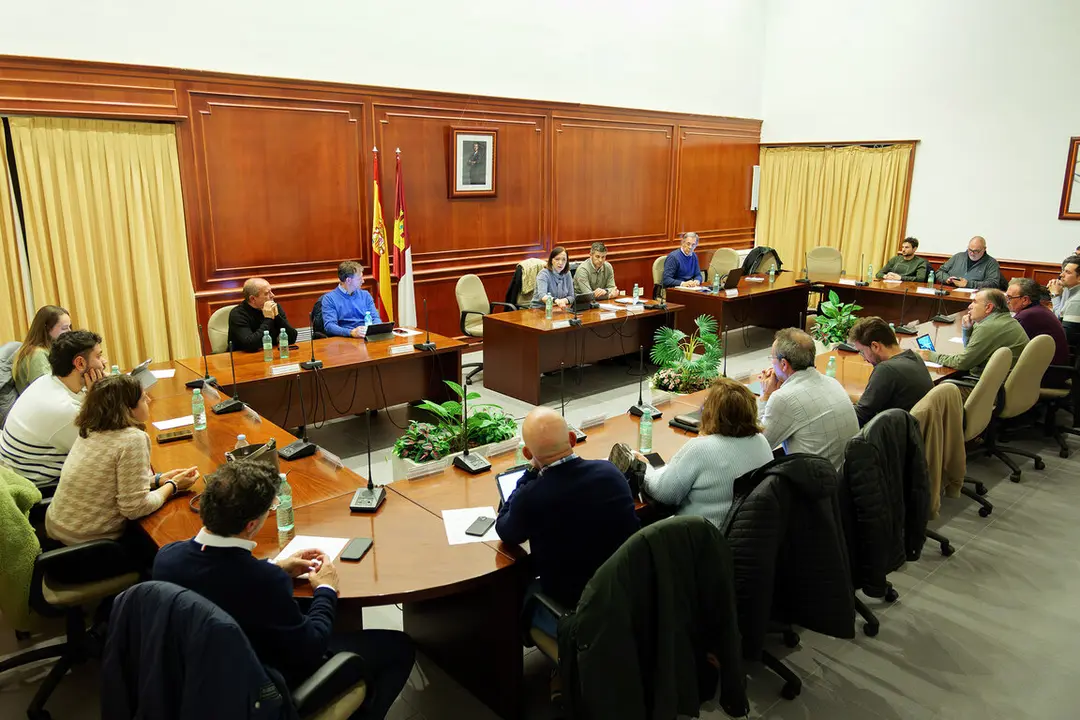 20250214_Pleno Ordinario 003_Comsermancha