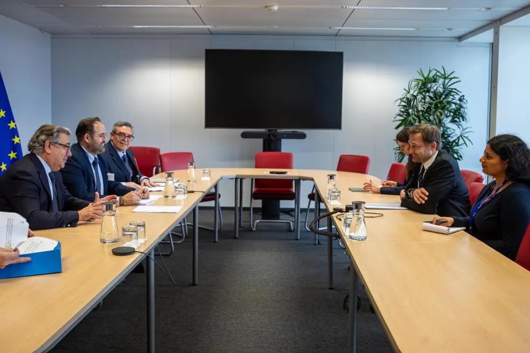 N&uacute;&ntilde;ez Bruselas (1)