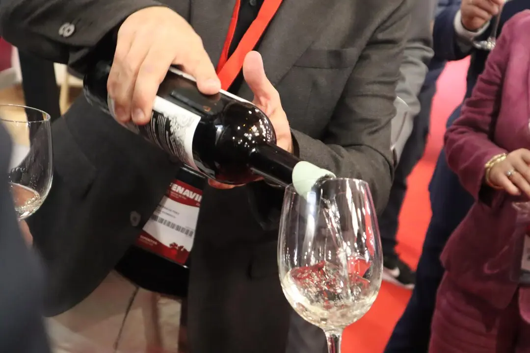 inauguracin-de-fenavin_54501331853_o