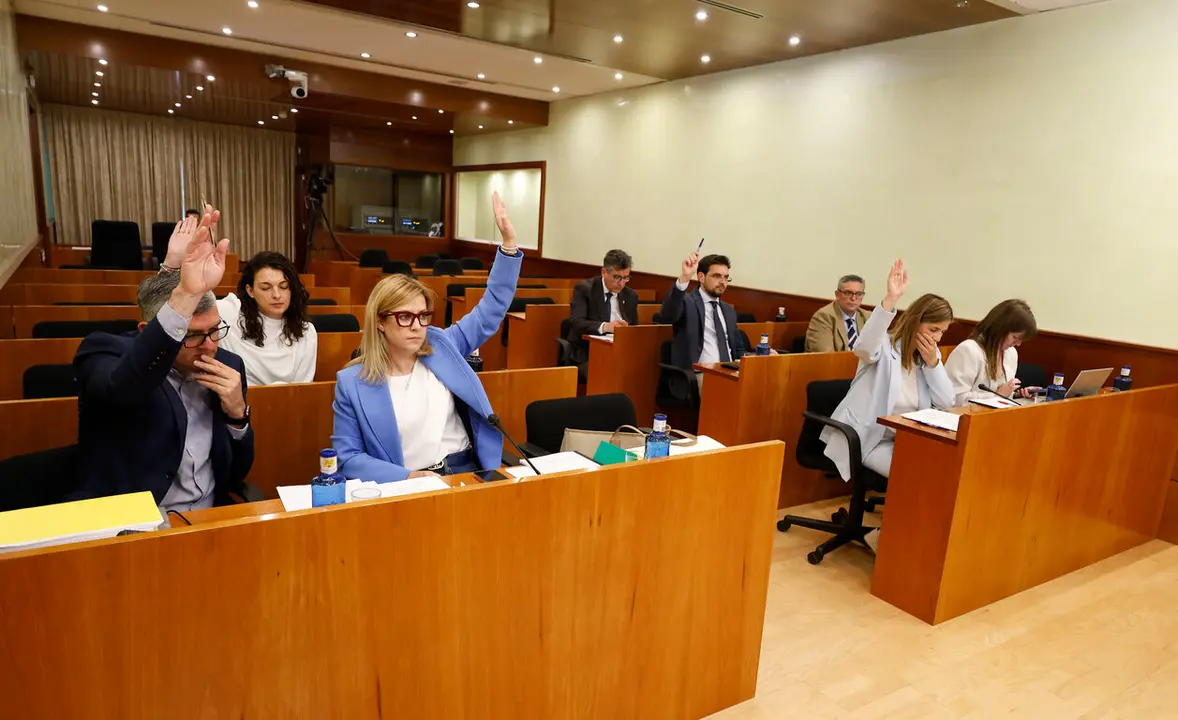 54505365093_0a51cd563e_k