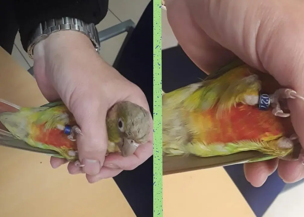 493932451_122258329898013725_7975582605906625139_n