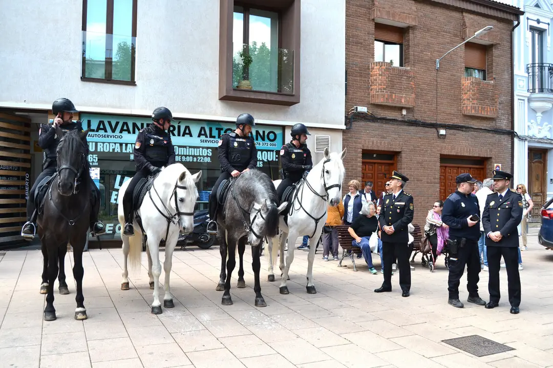 DSC_0174 - copia - copia