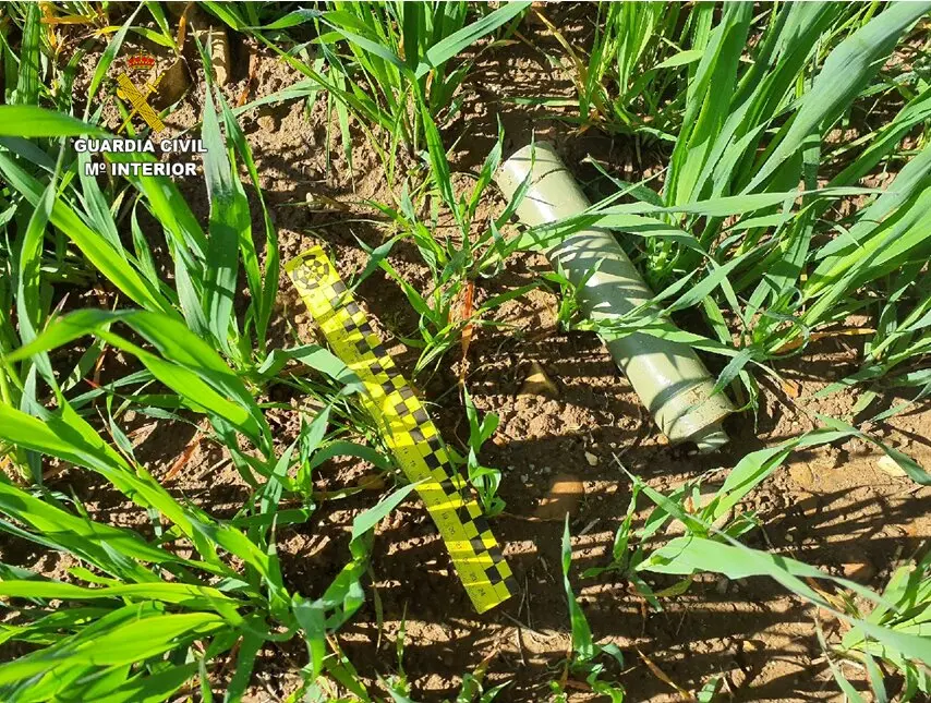 Presentaci&oacute;n1