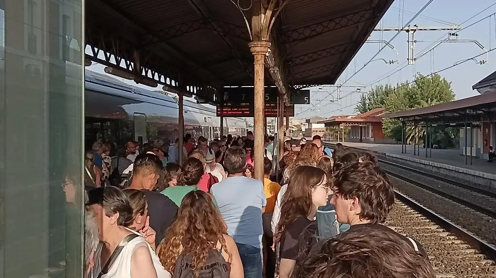 503325057_1160096979135809_7265249816403058317_n