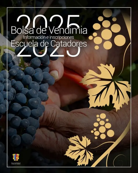 Cartel Bolsa Vendimia Campo de Criptana