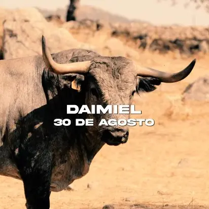 c8042c55-4c1c-878a-ad65-6aaaa855d9d7