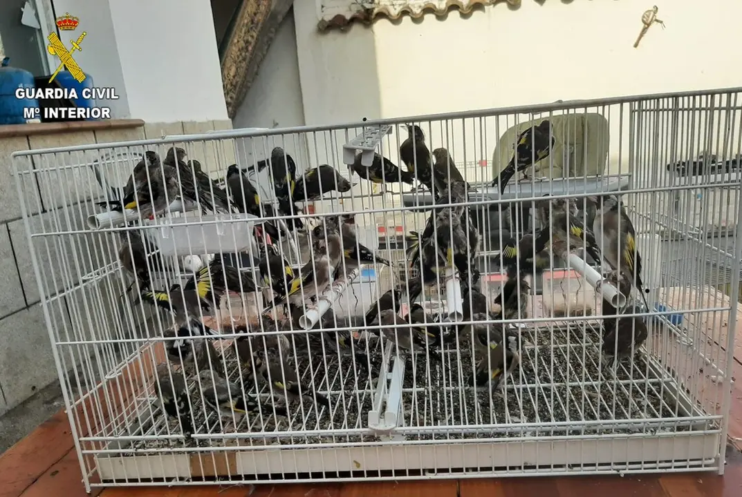 03. Foto Op. Reginae