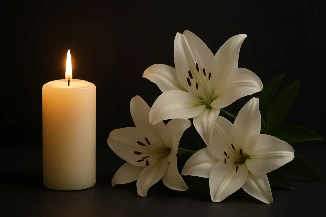 ChatGPT Image 27 sept 2025, 10_41_42