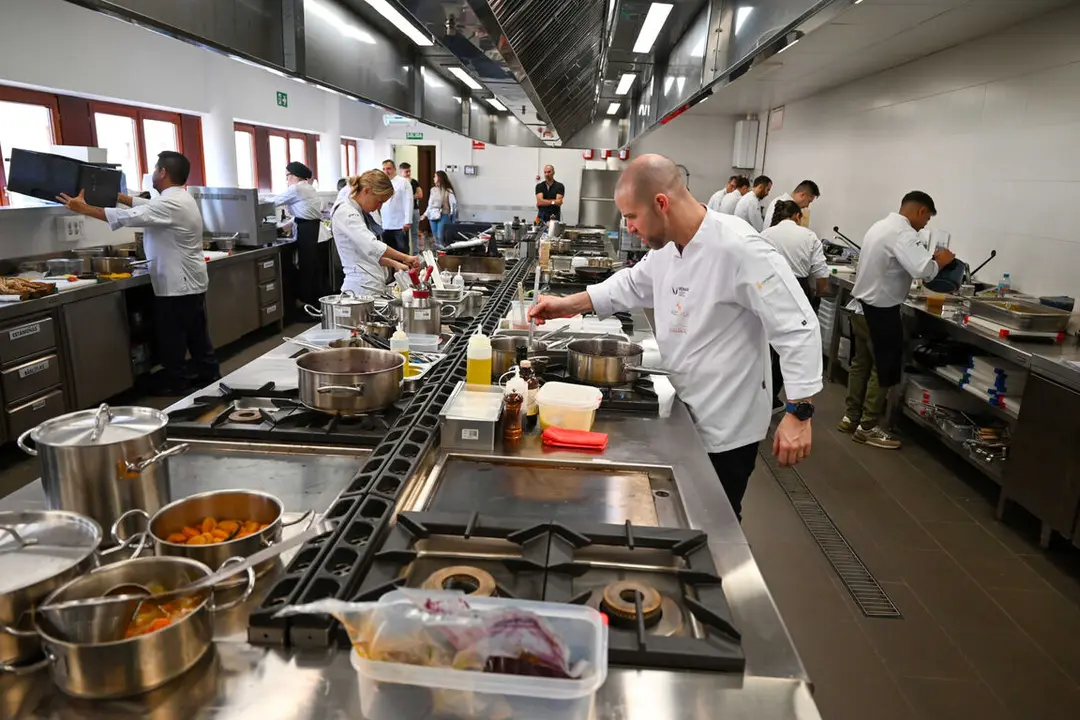 0515c669065436b3ca7d39002d18825a_7_XL