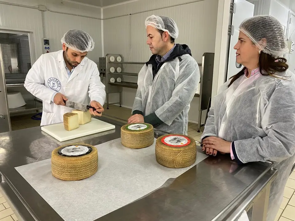 WhatsApp Image 2025-10-31 at 11.46.11