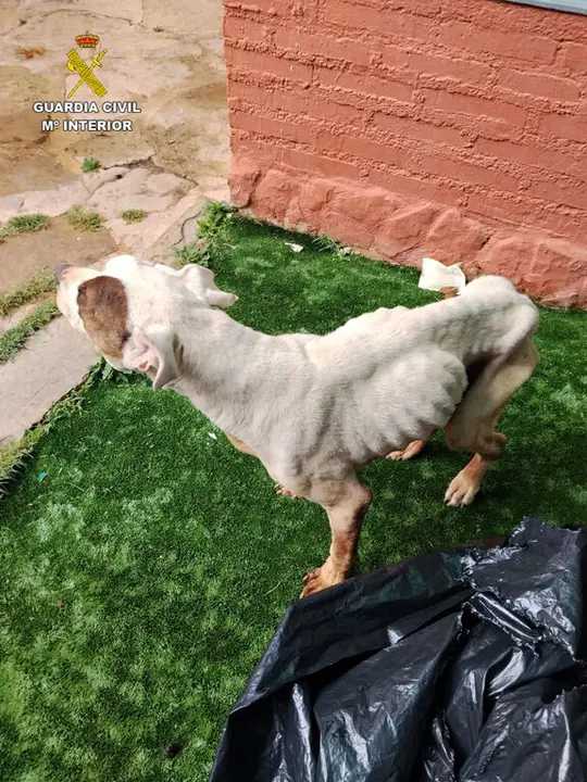 2025-11-14 Foto prensa