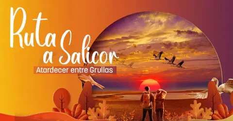 SALICOR480X250