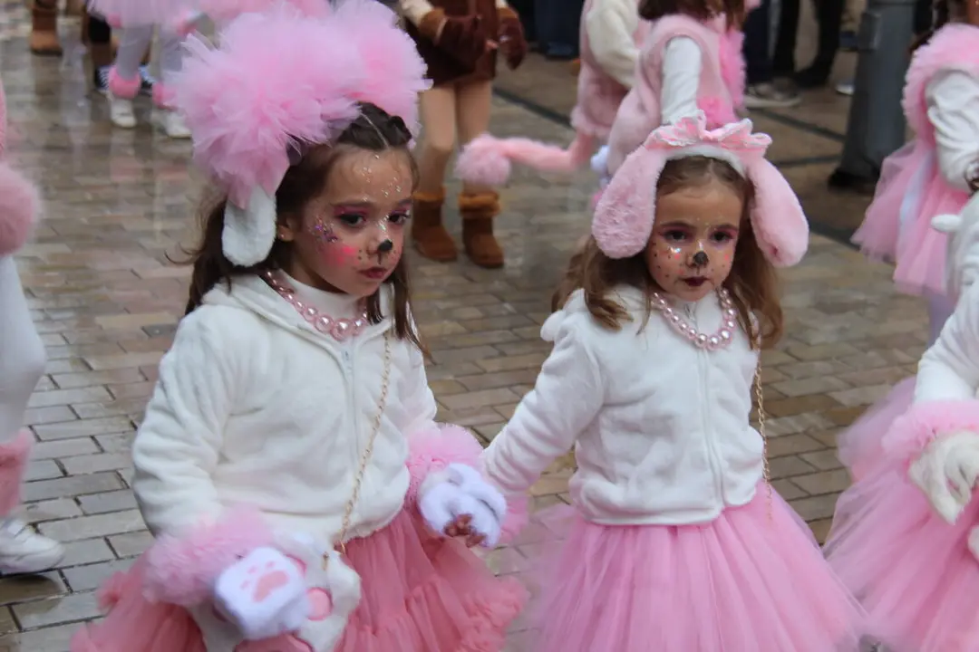 IMG_7524 - copia - copia