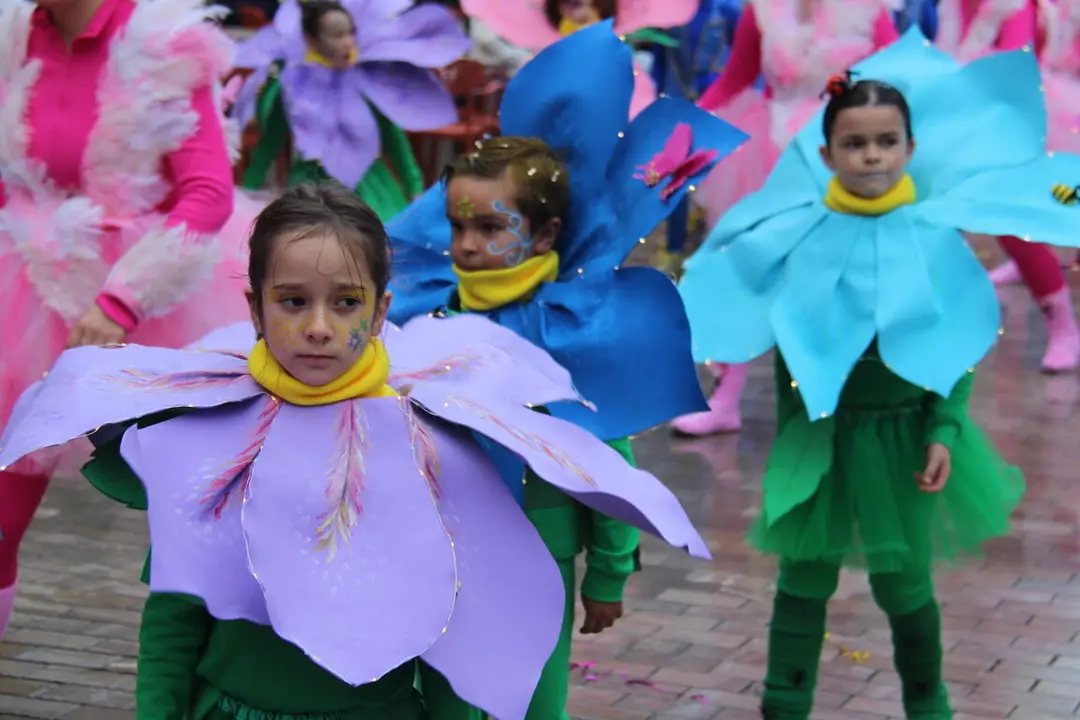 IMG_7553 - copia - copia