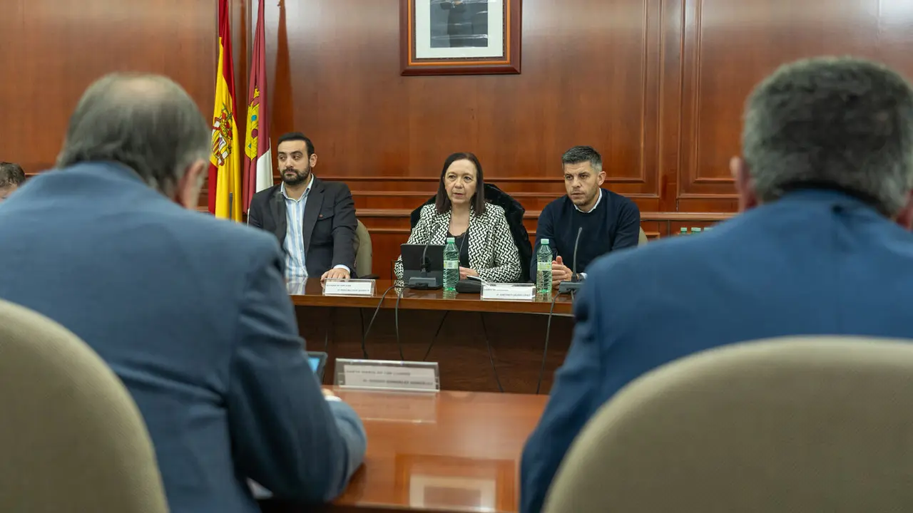 Pleno Comsermancha diciembre 2025