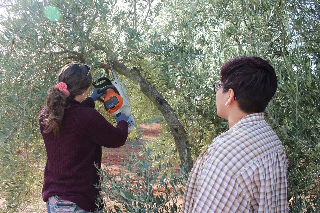 CALENDARIO PROGRAMA CULTIVA