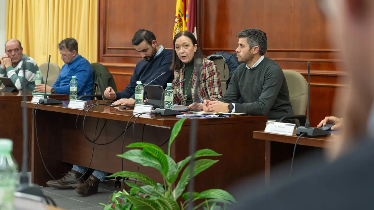 Pleno enero 26 Comsermancha