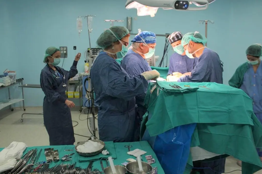 p1jfiah22gvma1jbtp951v4vkfa4