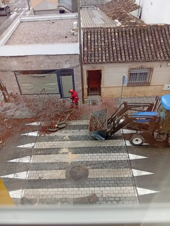 WhatsApp Image 2026-01-28 at 11.55.06