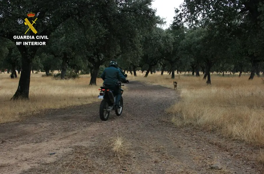 Presentaci&oacute;n1