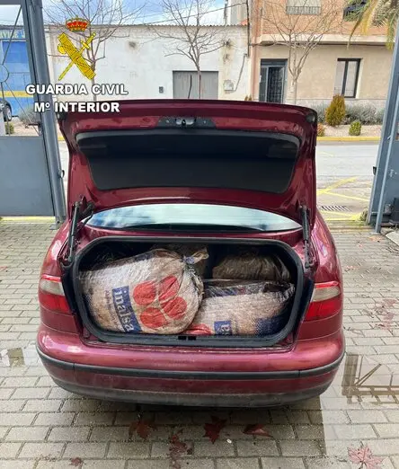 Presentaci&oacute;n1