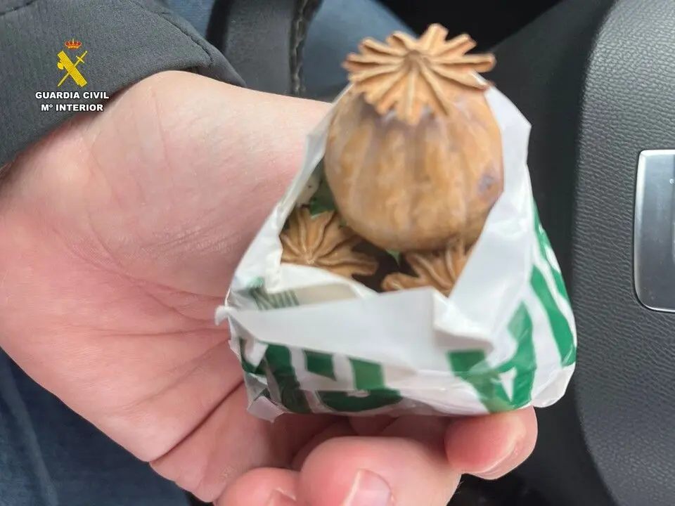 2026-02-21_op_guru_alicante_2