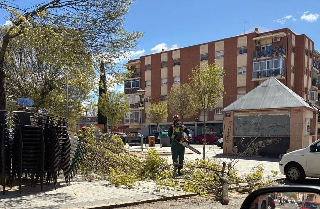 WhatsApp Image 2026-03-29 at 14.35.21