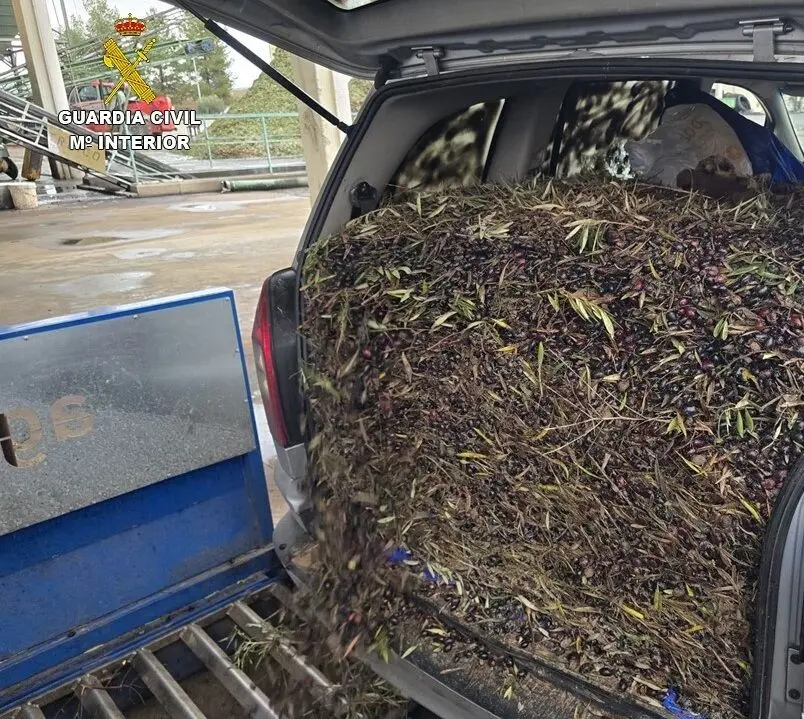 Presentaci&oacute;n1