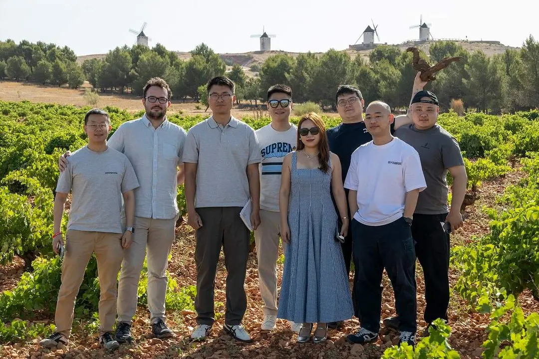 Profesionales chinos en un vi&ntilde;edo manchego - copia