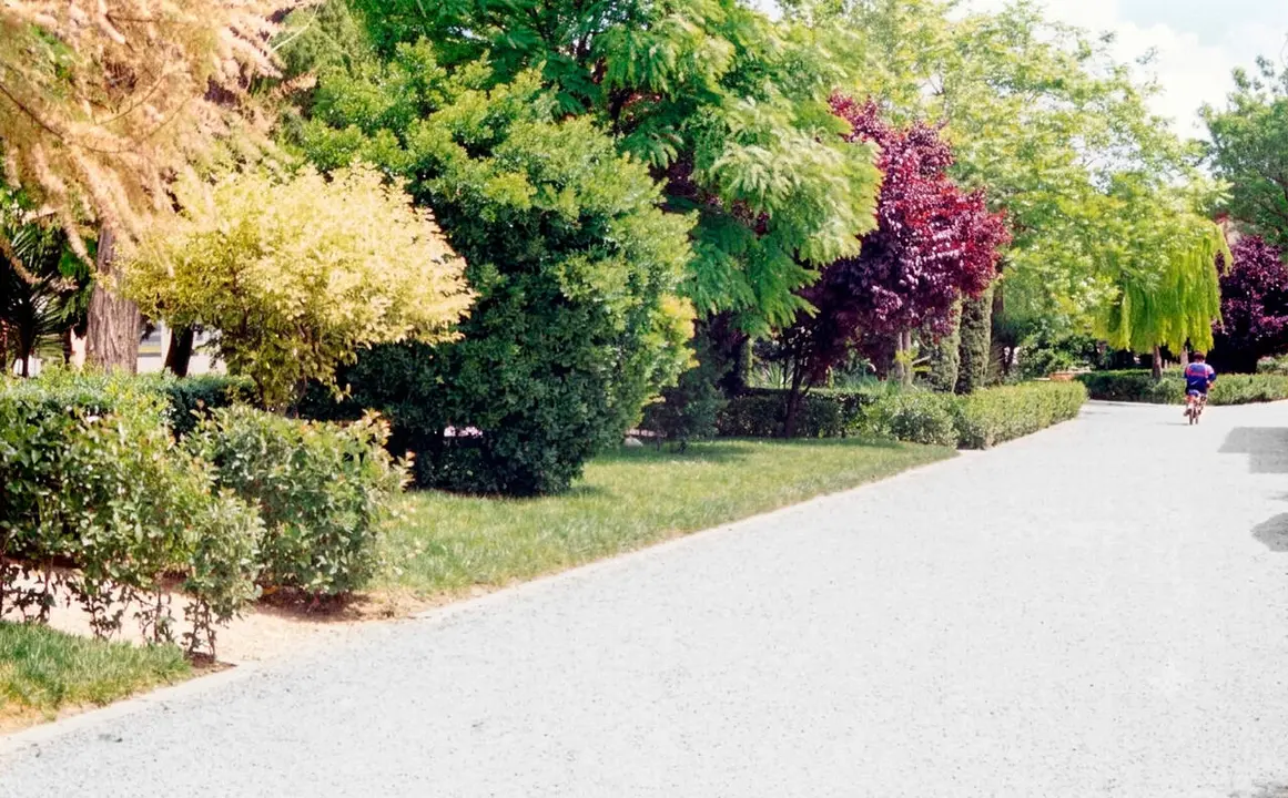 Jardines del Pozohondo