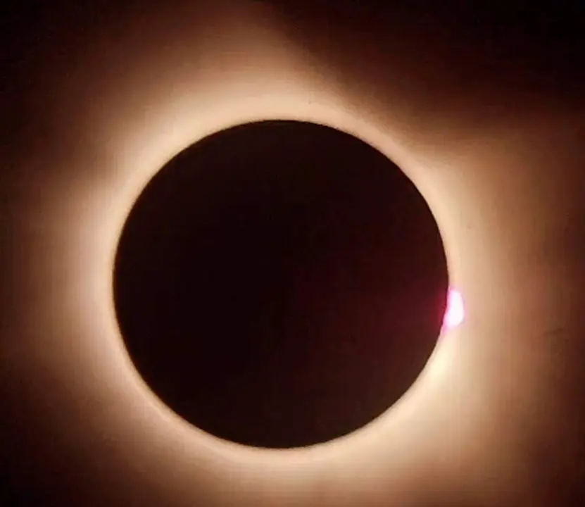 1000392970
