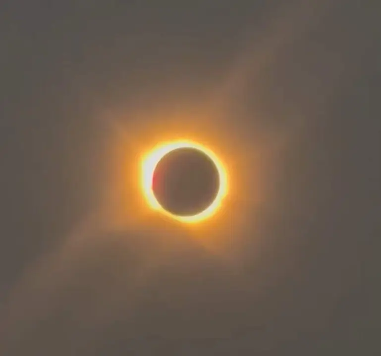 1000393266