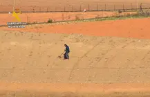 Presentaci&oacute;n2