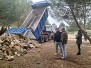 WhatsApp Image 2026-03-24 at 12.51.48