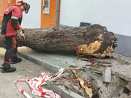 Image 2026-04-07 (2)